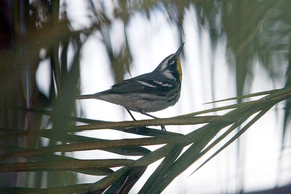 Las Fotos de la Semana en ElHeraldo.hn
