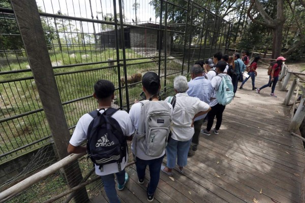 Los inquilinos del Rosy Walther siguen atrayendo a los capitalinos