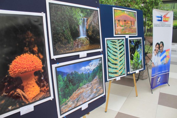 Belleza natural de La Tigra en imágenes