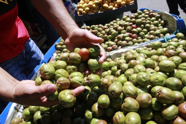 Frutas de la temporada llenan de sabor las plazas de venta