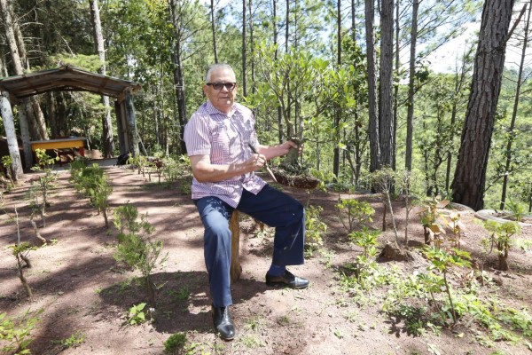 A través de los años, Jorge Yllescas Oliva ha cultivado unos 157 bonsáis.