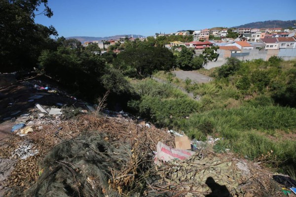 El Trans-450, nueva salida al sur y jardín botánico, las deudas de 2019