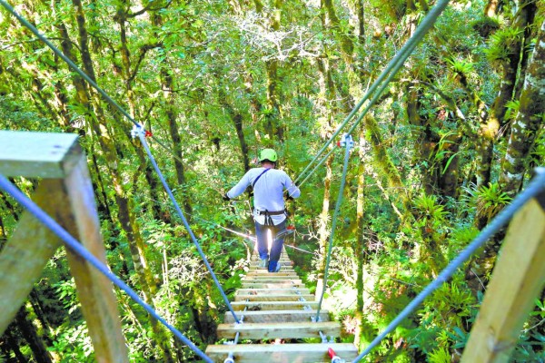 Parque Nacional La Tigra le da la bienvenida con un rostro renovado