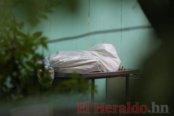 Apilados y a simple vista permanecen cadáveres no reclamados en morgue de Tegucigalpa (FOTOS)