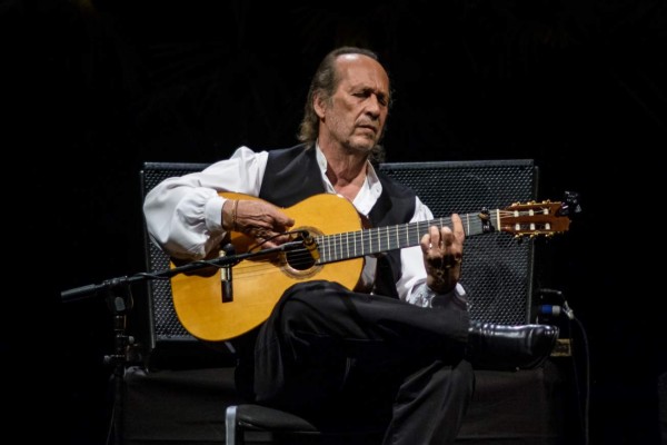 Un doodle en honor al emblema del flamenco