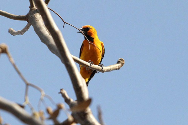 Las Fotos de la Semana en ElHeraldo.hn