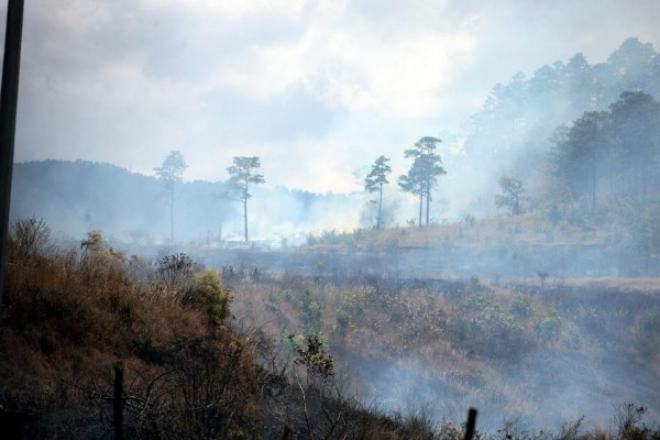Cada 12 horas se quema una zacatera en la capital de Honduras