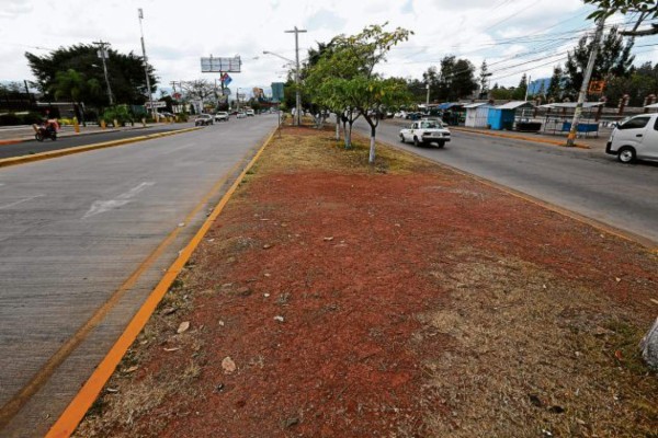 El Trans 450 tendrá su propia megaterminal