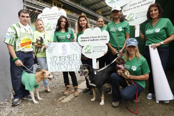 Marathón se pronuncia en contra del maltrato animal