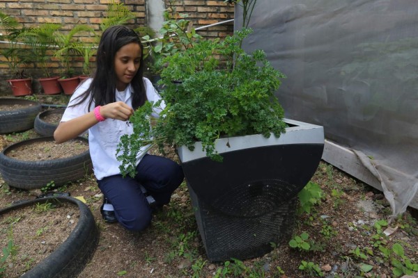 Gobierno escolar tomó las riendas de Escuelas Amigables