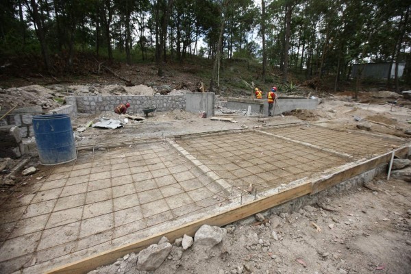 En proceso de transformación el zoológico Rosy Walther