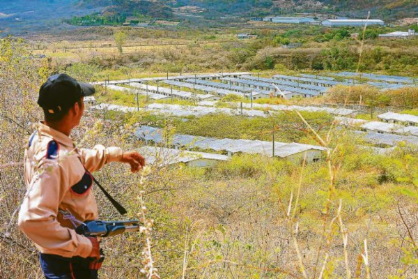 Abogado demandó a Injumpemp por 95 millones