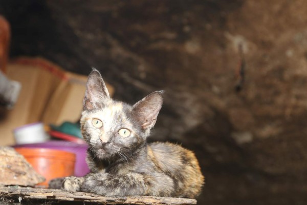 Don Óscar tendrá un hogar y una oportunidad para enfrentar la vida