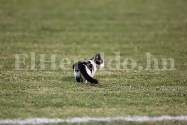 Resultados de la jornada 6 de la LNP