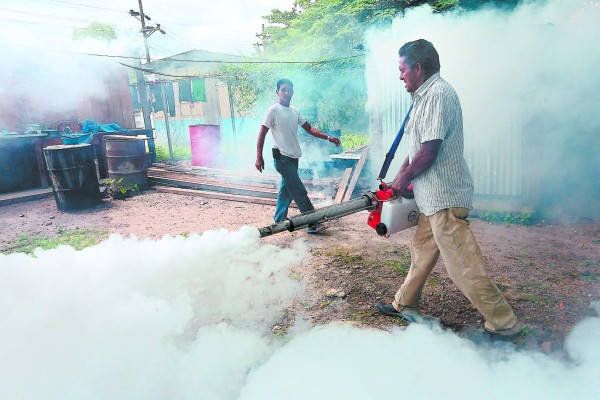 Salud inicia tercer ciclo para combatir el Aedes aegypti