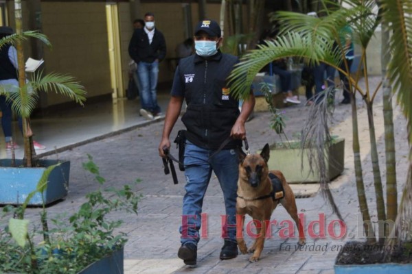 Las 20 imágenes que dejó la jornada electoral en la capital