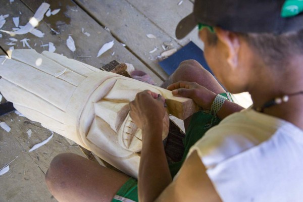 Un vistazo a la exótica selva del Amazonas