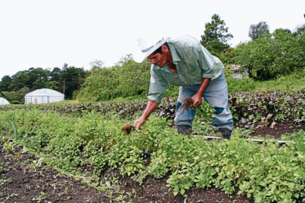 Incremento salarial será de 377.13 en 2013