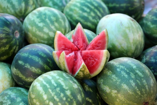 En alza exportación de sandías y hortalizas en Honduras