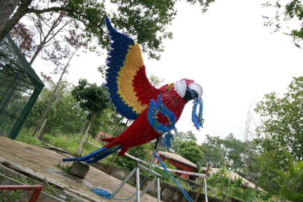 Fiesta ambiental en el zoológico Rosy Walther