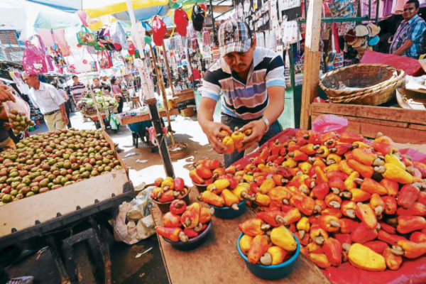Llegada del verano reactiva la actividad comercial