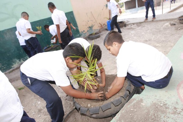 Sembramos el respeto al ambiente con reforestación