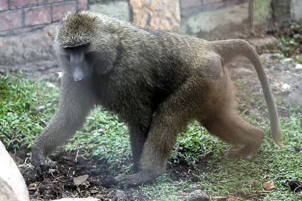 Las Fotos de la Semana en ElHeraldo.hn