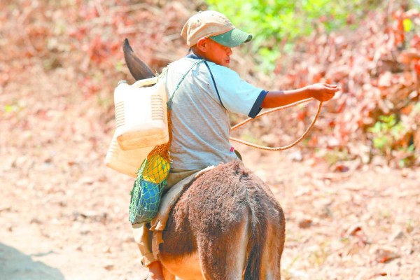 Honduras: Con desesperación, pobladores luchan contra sequía