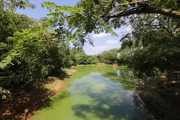 Iguana’s Water Park, un paraíso terrenal