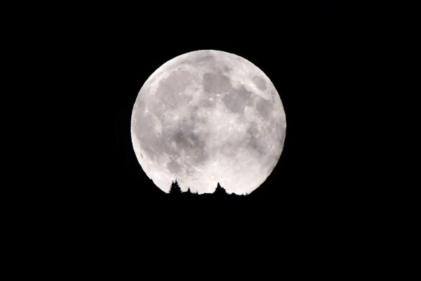 FOTOS: Así vio el mundo la Superluna