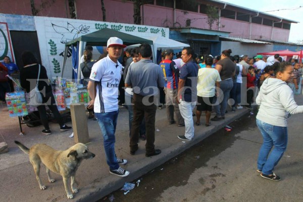 Las curiosidades durante las elecciones primarias en Honduras en fotos