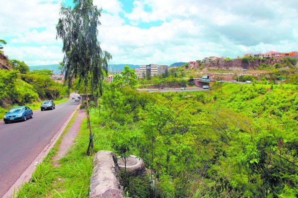 Inicia nuevo paso a desnivel