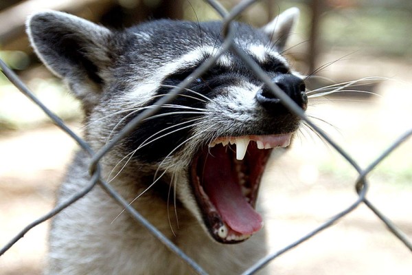 Las Fotos de la Semana en ElHeraldo.hn