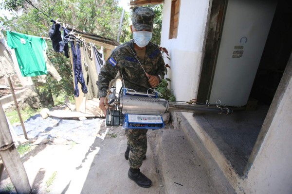 El Aedes aegypti mantiene sitiado a todo el Municipio del Distrito Central