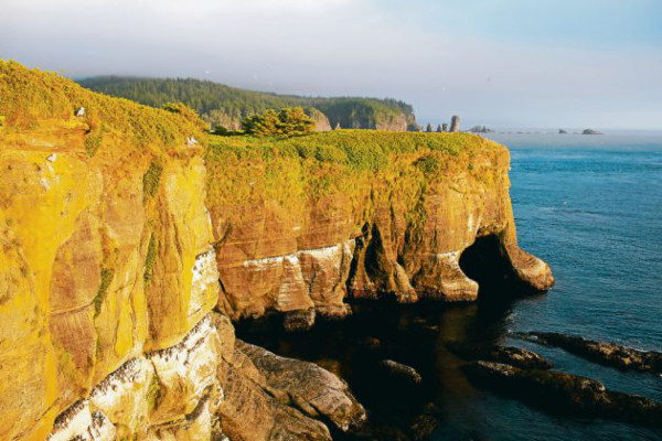 Isla Tatoosh, laboratorio de un grupo de científicos