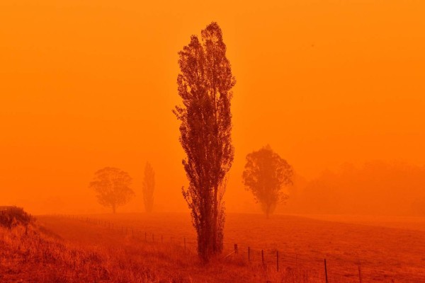 Cielo rojizo y un ambiente desierto: las fotos del caos que dejan los incendios en Australia