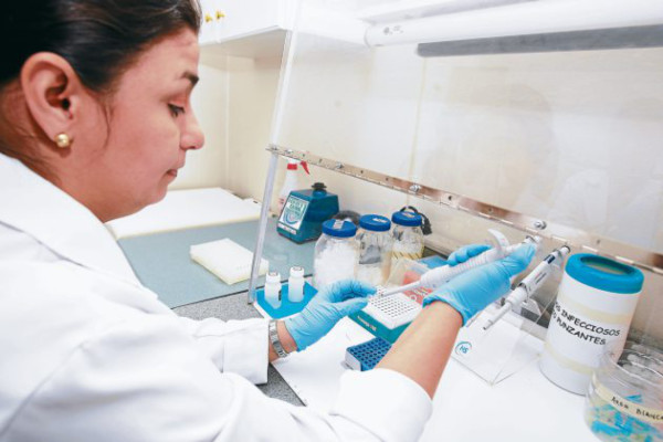 Su ADN lo identifica