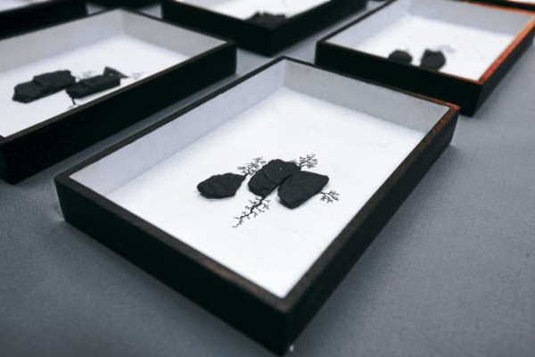 Adonay Navarro: 'Quiero dejar una obra perdurable”