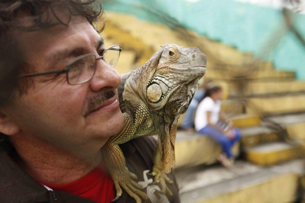 Marathón se pronuncia en contra del maltrato animal