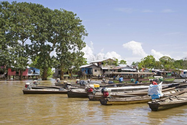 Un vistazo a la exótica selva del Amazonas