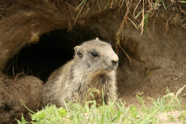 Facebook también será la red social del más allá