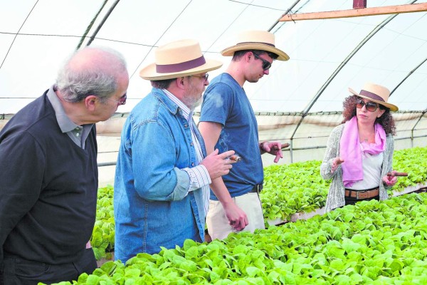 Maya Cigars abrirá en EE UU