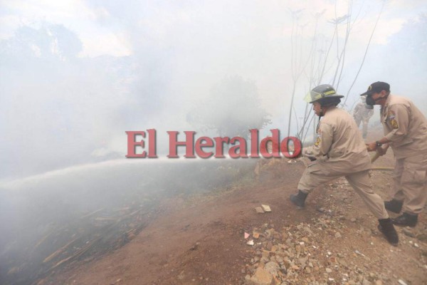Fotos: Así fue el voraz incendio que consumió varias tumbas del cementerio Sipile en Comayagüela