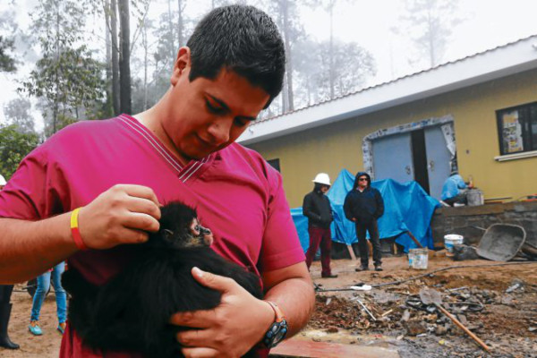 Inauguran hospital para fauna silvestre de zoológico