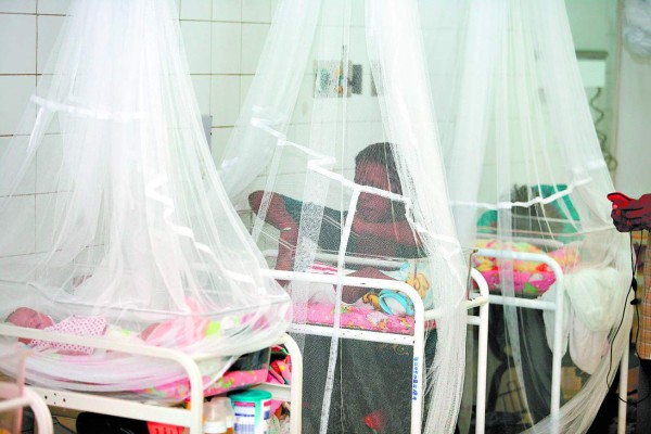 Costoso tratamiento para el chikungunya