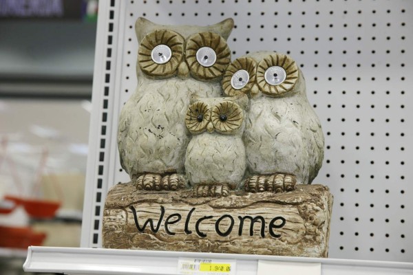 Llegaron las luciérnagas