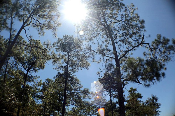 Las Fotos de la Semana en ElHeraldo.hn