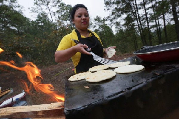 FOTOS: Las delicias gastronómicas que se disfrutan en la ruta de los valles y las montañas