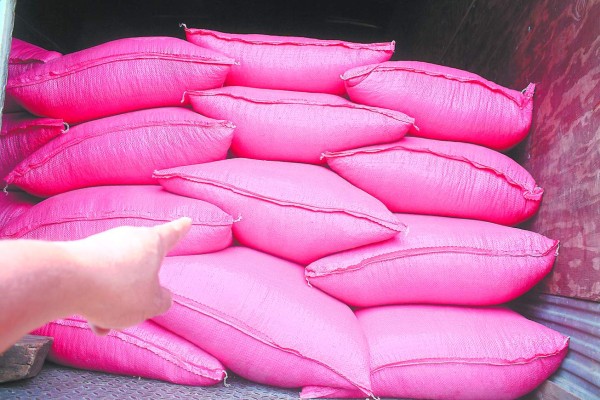 Honduras: Persisten bajos precios de granos