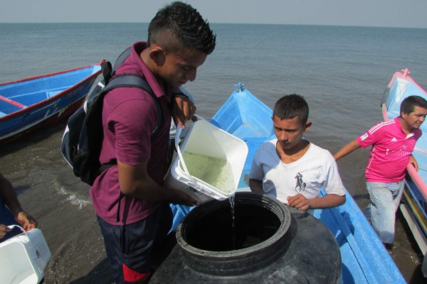 Lanzan en Cedeño 20 millones de larvas de camarón